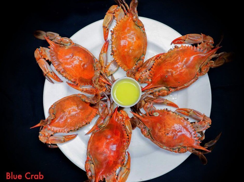 Boiled crab seasoned with the house Cajun blend